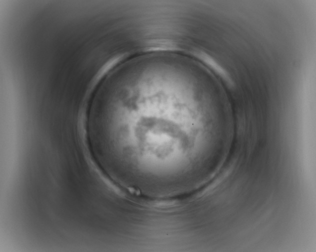 X0000114021325200910021409