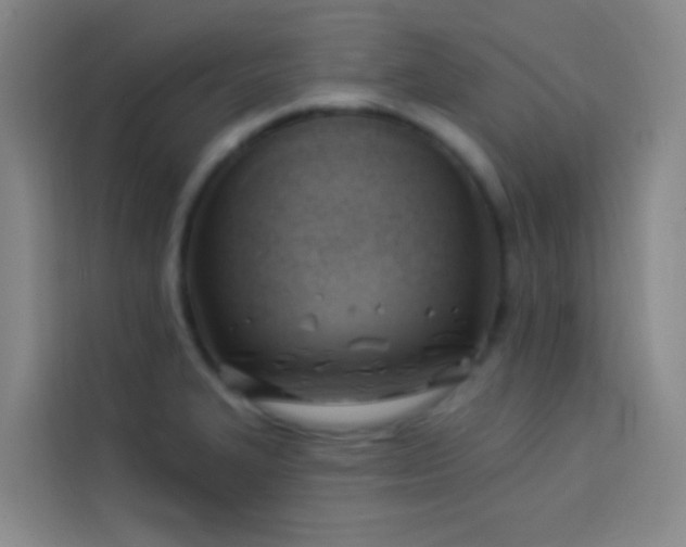 X0000114021327200910021409