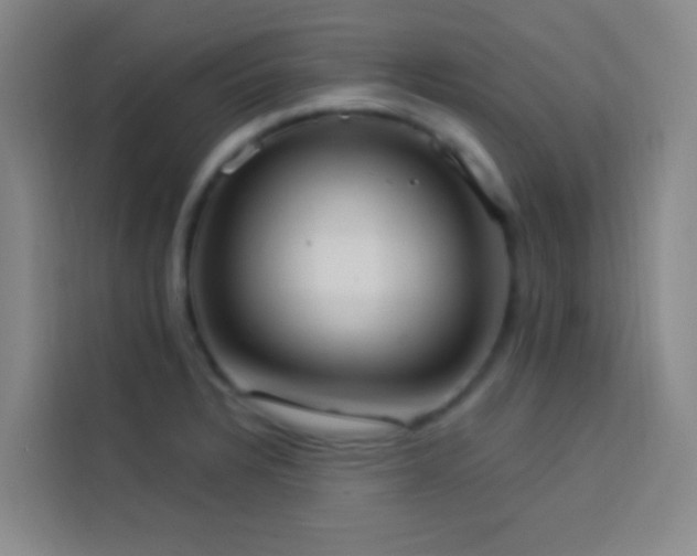 X0000114021328200910021409