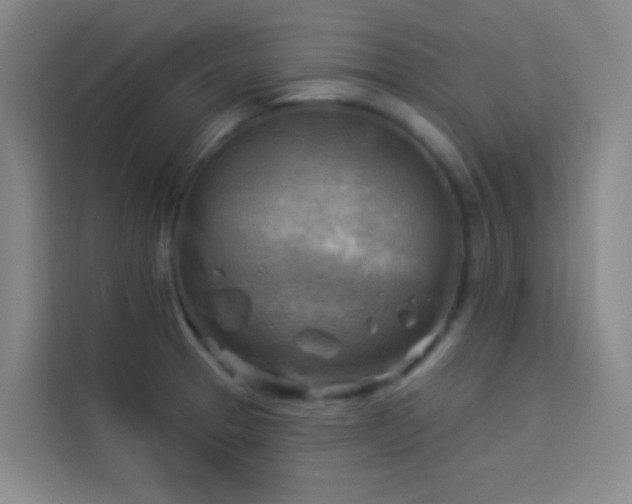 X0000114021329200910021410