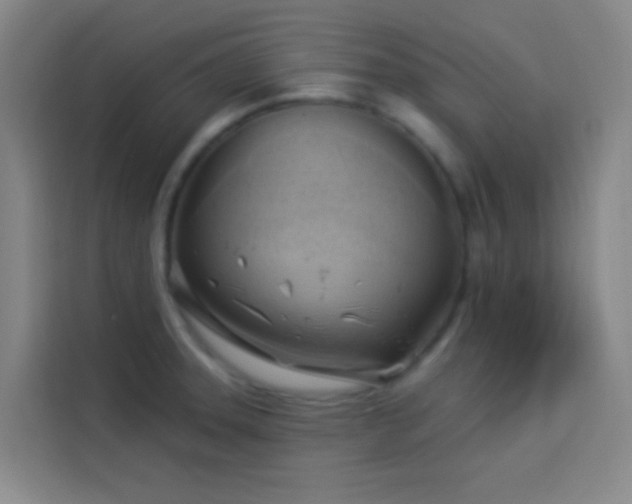X0000114021331200910021410