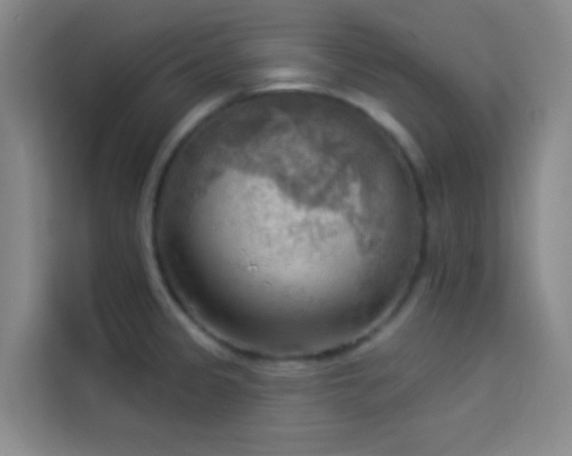 X0000114021333200910021410