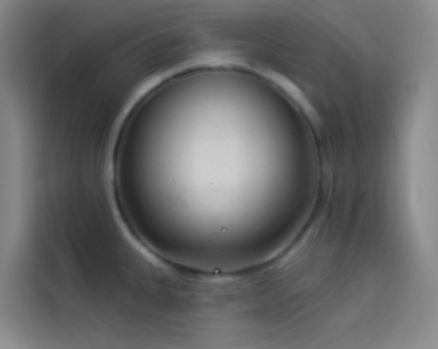 X0000114021335200910021410