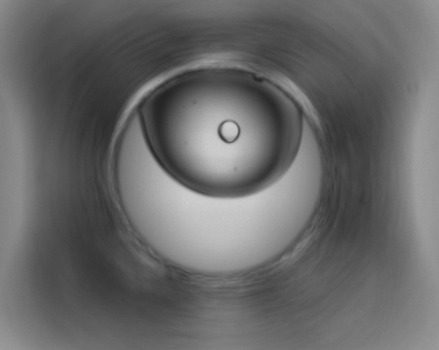 X0000114021336200910021410