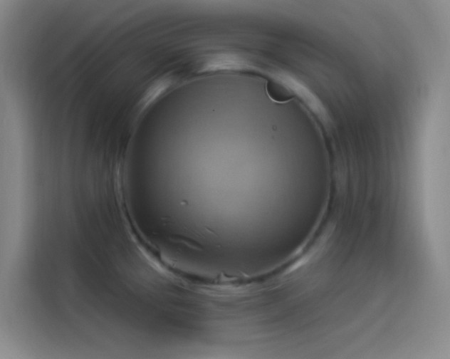 X0000114021337200910021410