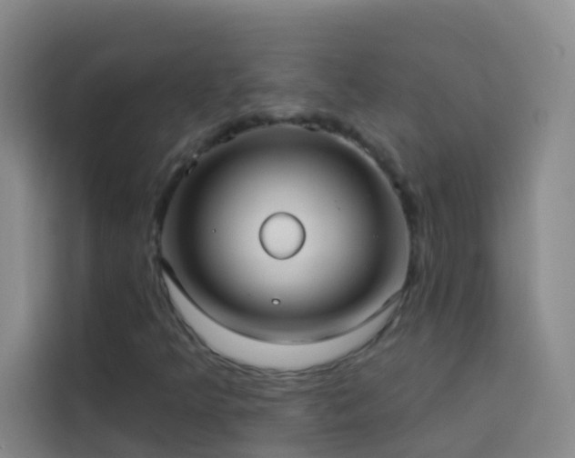 X0000114021349200910021409
