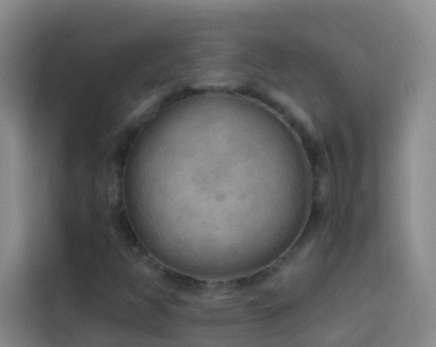 X0000114021350200910021409
