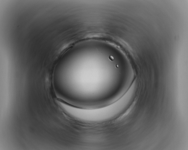 X0000114021353200910021409