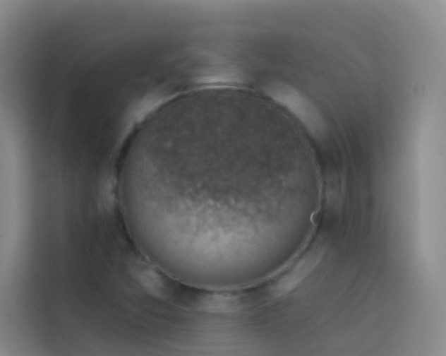 X0000114021357200910021409