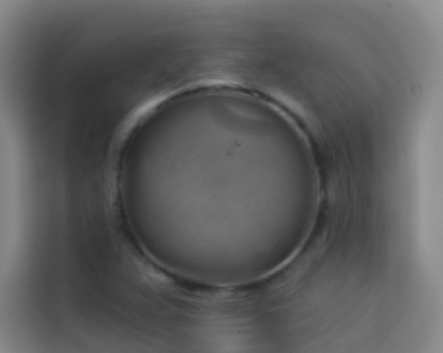 X0000114021359200910021409