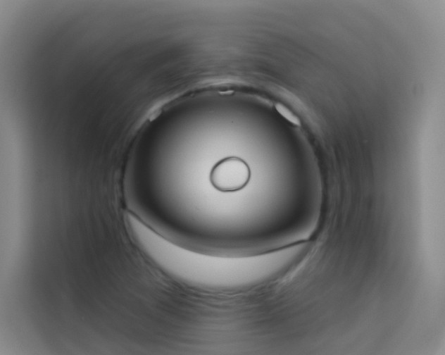 X0000114021361200910021409