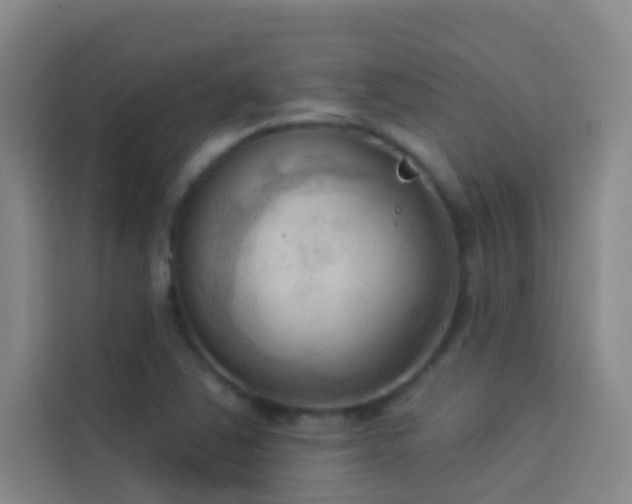 X0000114021363200910021409
