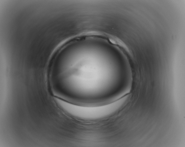 X0000114021364200910021409