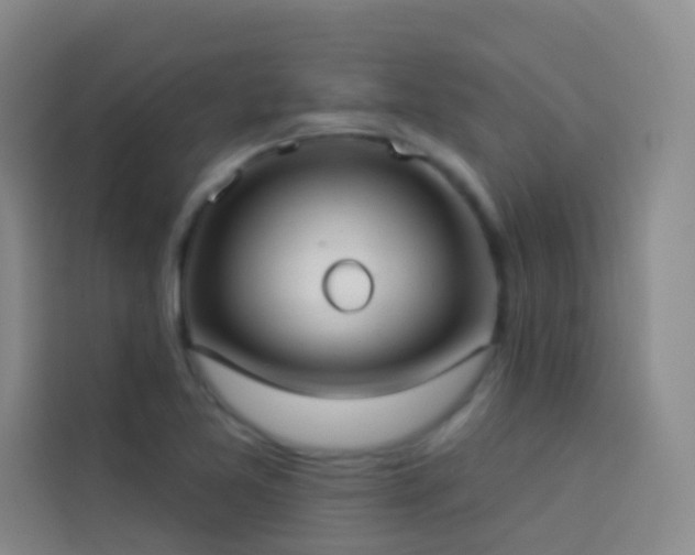 X0000114021365200910021409
