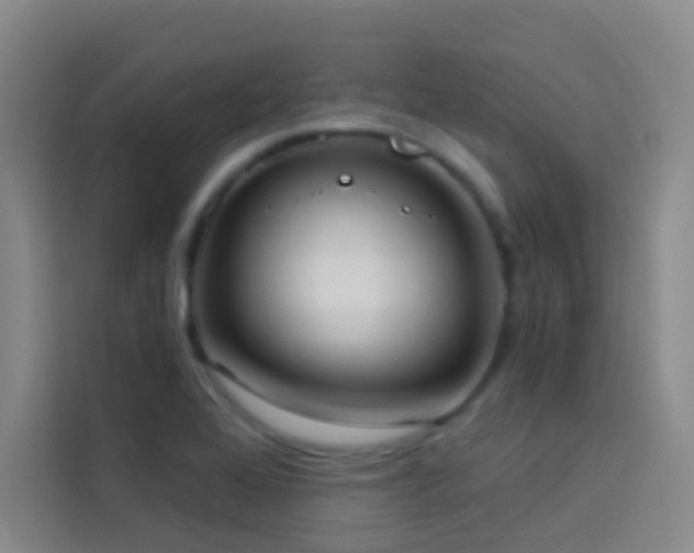 X0000114021368200910021409