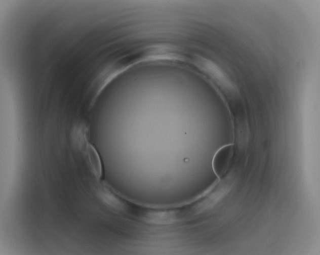 X0000114021369200910021409