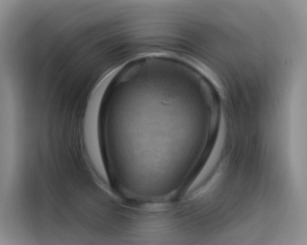 X0000114021377200910021409