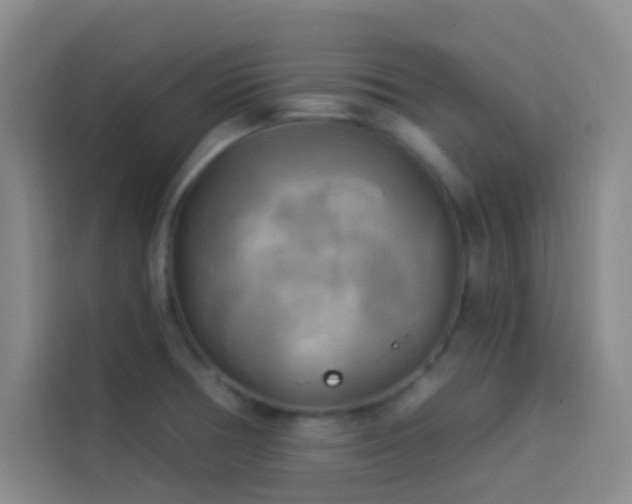 X0000114021378200910021409