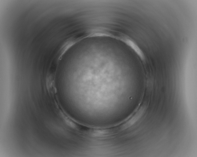 X0000114021385200910021409