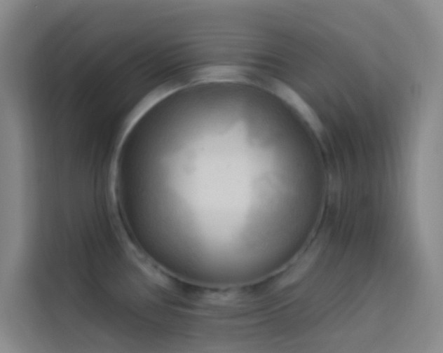 X0000114021386200910021409