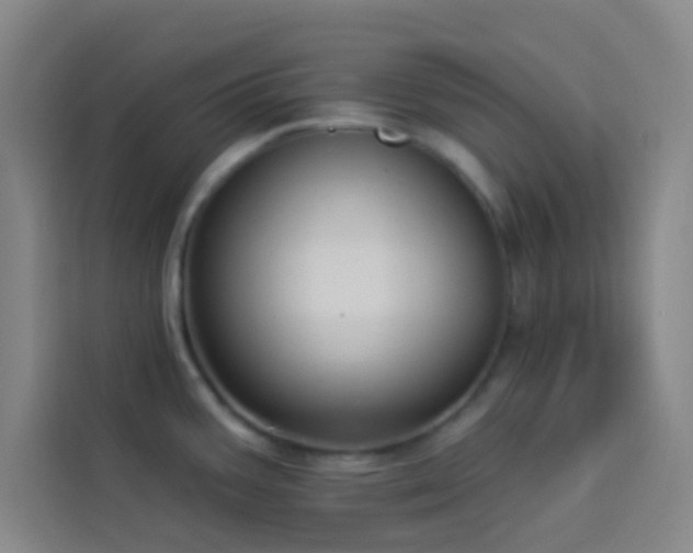 X0000114021387200910021409