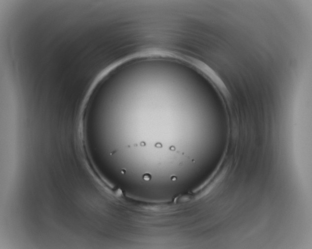 X0000114021388200910021409