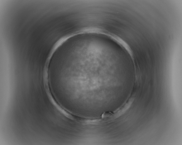X0000114021389200910021409
