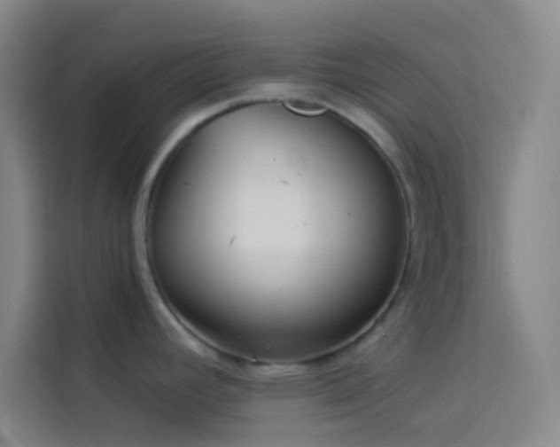 X0000114021392200910021408
