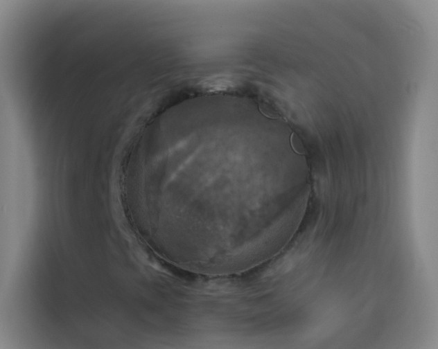 X0000114021393200910021408