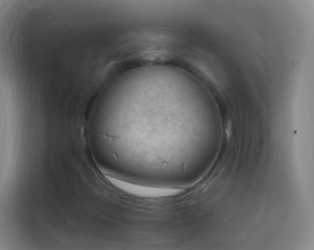 X0000114021396200910021408