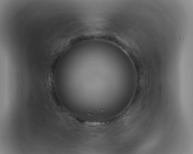 X0000114021397200910021408