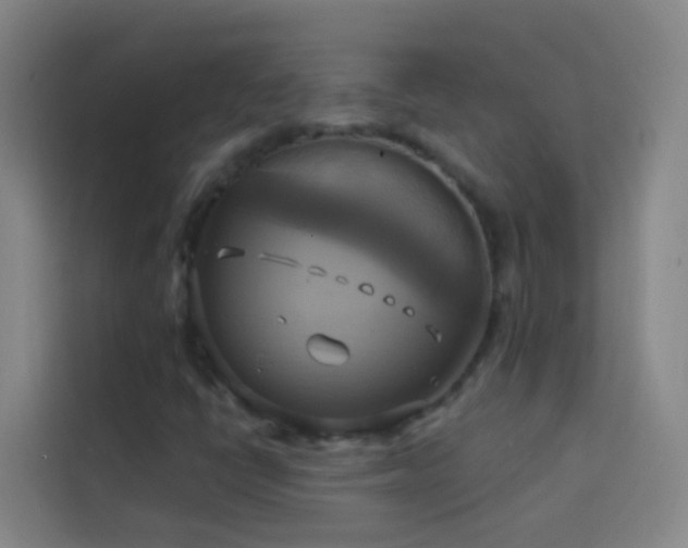 X0000114021398200910021408