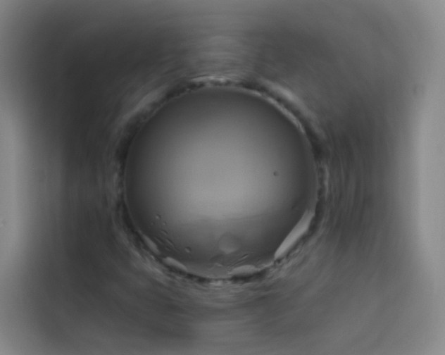 X0000114021399200910021408