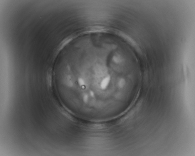 X0000114021409200910021408