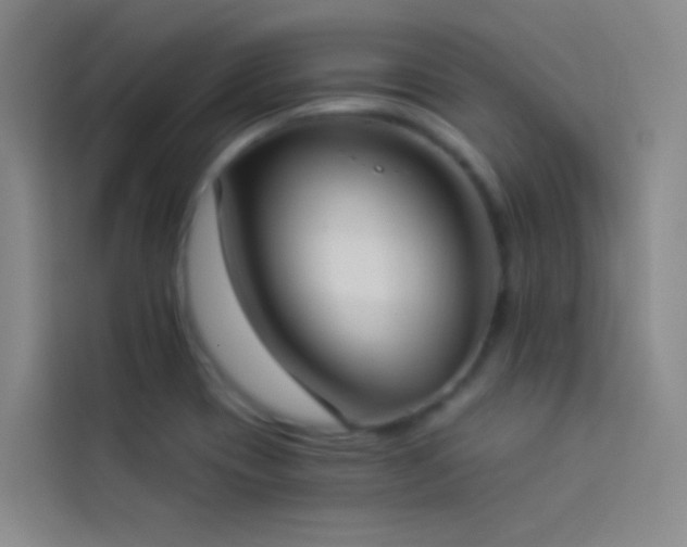 X0000114021417200910021408