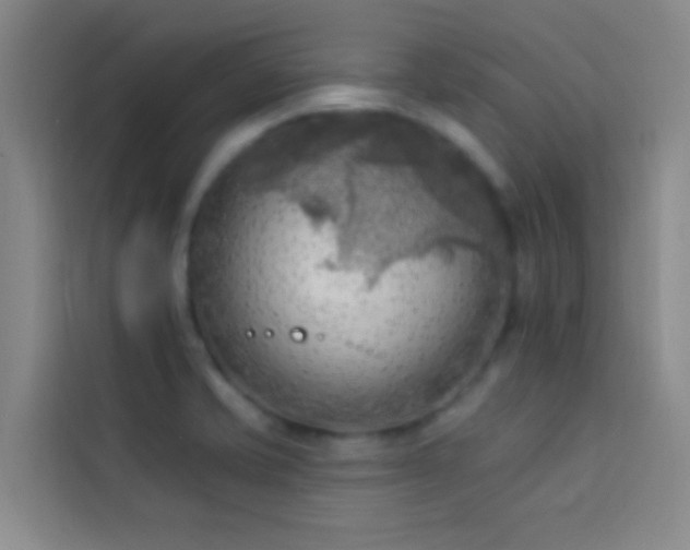 X0000114021421200910021408