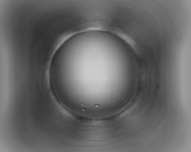X0000114021423200910021408