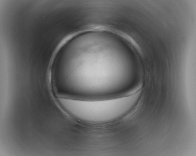 X0000114021424200910021408