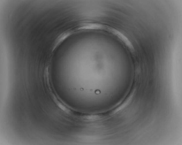 X0000114021425200910021408