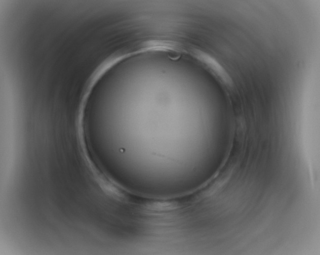 X0000114021427200910021408