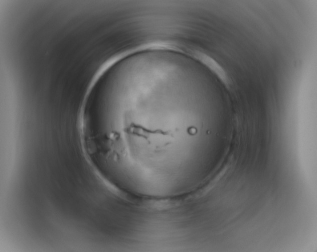 X0000114021428200910021408