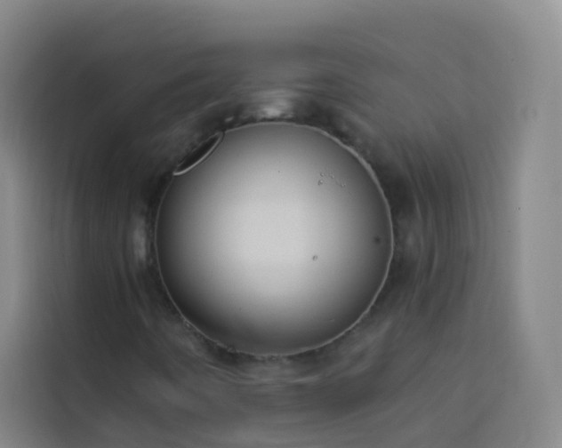 X0000114021442200910021408
