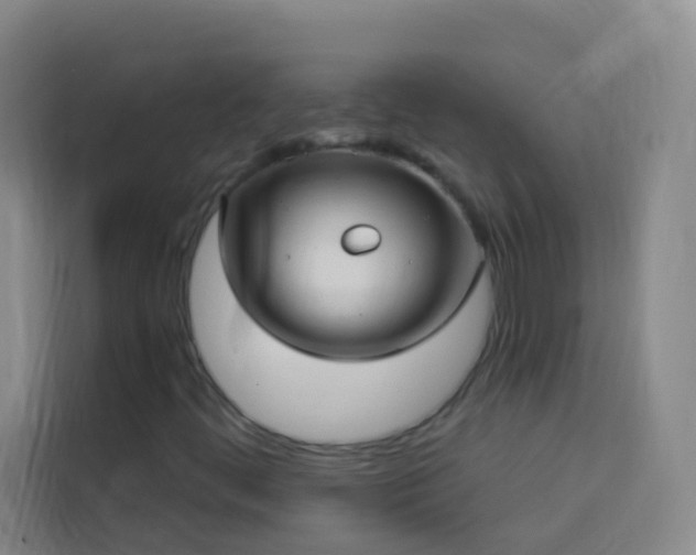 X0000114021444200910021408