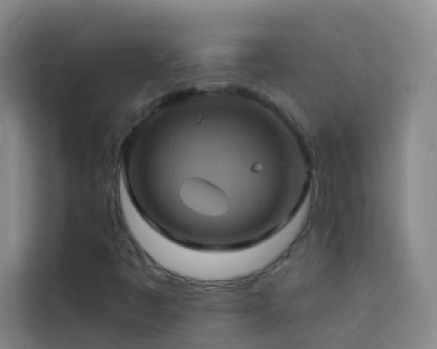X0000114021445200910021408