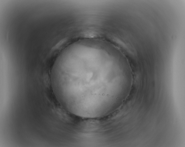 X0000114021446200910021408