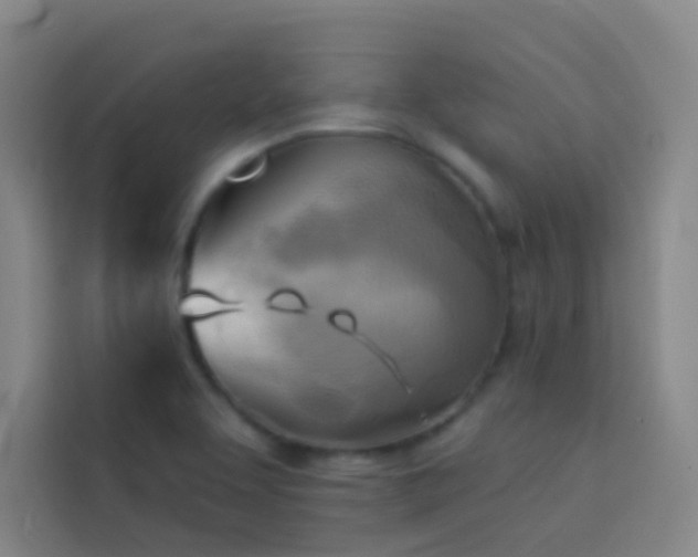 X0000114021463200910021408