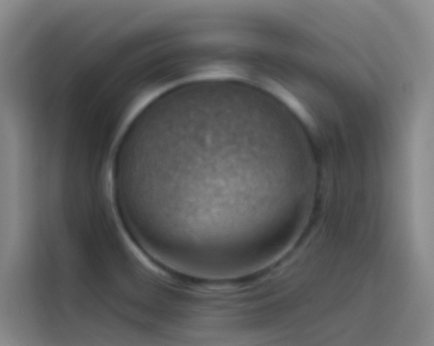 X0000114021468200910021407