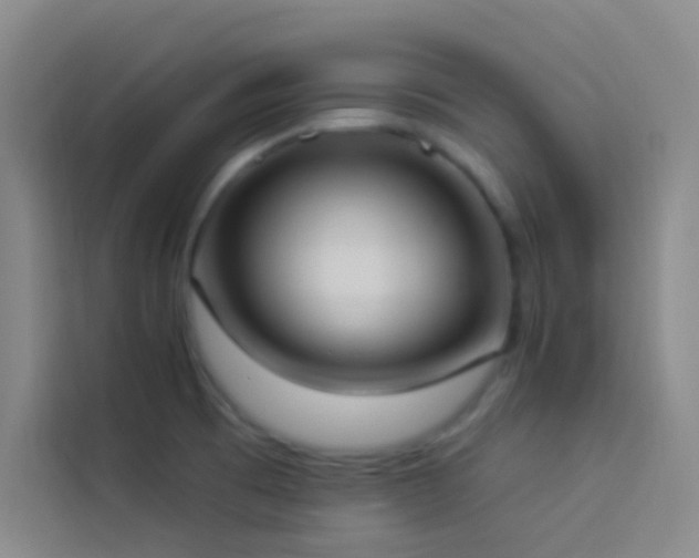 X0000114021473200910021407