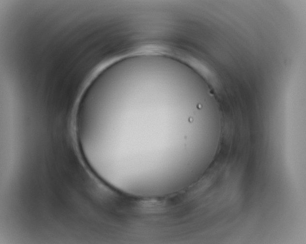 X0000114021478200910021407