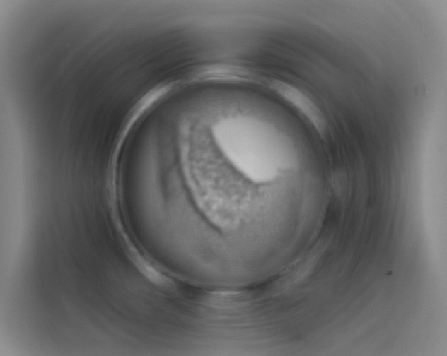 X0000114021482200910021407
